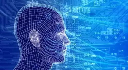 全球視野 六項(xiàng)熱門與四項(xiàng)趨冷的企業(yè)級(jí)技術(shù)應(yīng)用網(wǎng)絡(luò)服務(wù)盤點(diǎn)