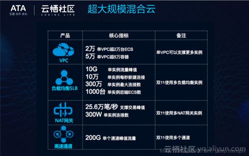 網(wǎng)絡(luò)虛擬化技術(shù) 為“雙11”打造高效能靈動(dòng)網(wǎng)絡(luò)的技術(shù)基石